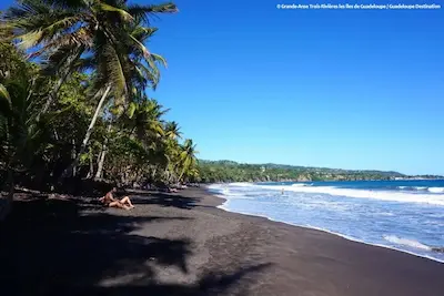 Grande-Anse beach in Trois-Rivières, black sand beach lined with coconut palms near the Rivière-sens Marina