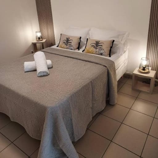 Tropical Golden Appart room